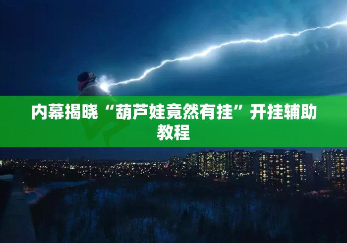 内幕揭晓“葫芦娃竟然有挂”开挂辅助教程