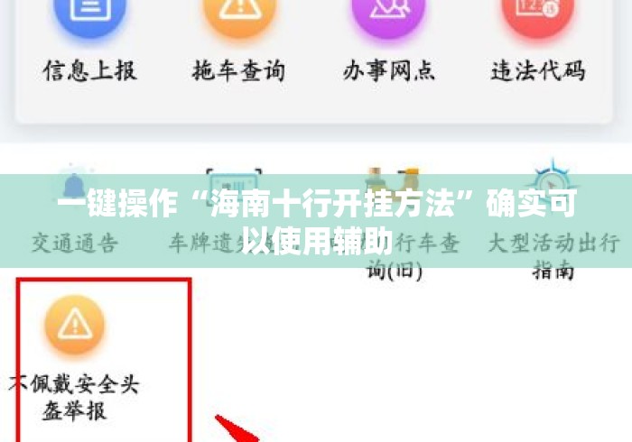 一键操作“海南十行开挂方法”确实可以使用辅助