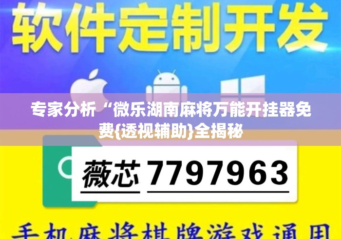 专家分析“微乐湖南麻将万能开挂器免费{透视辅助}全揭秘 专家分析“微乐湖南麻将万能开挂器免费{透视辅助}全揭秘