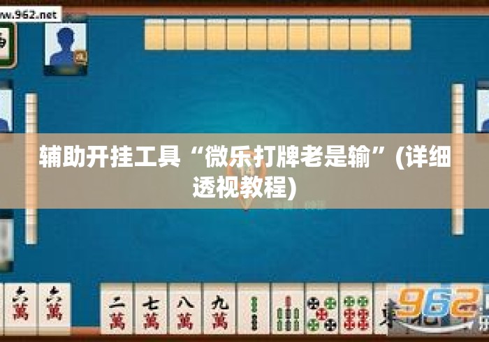 辅助开挂工具“微乐打牌老是输”(详细透视教程)