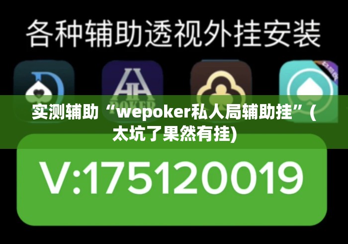 实测辅助“wepoker私人局辅助挂	”(太坑了果然有挂)