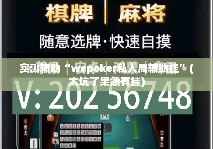 实测辅助“wepoker私人局辅助挂”(太坑了果然有挂)