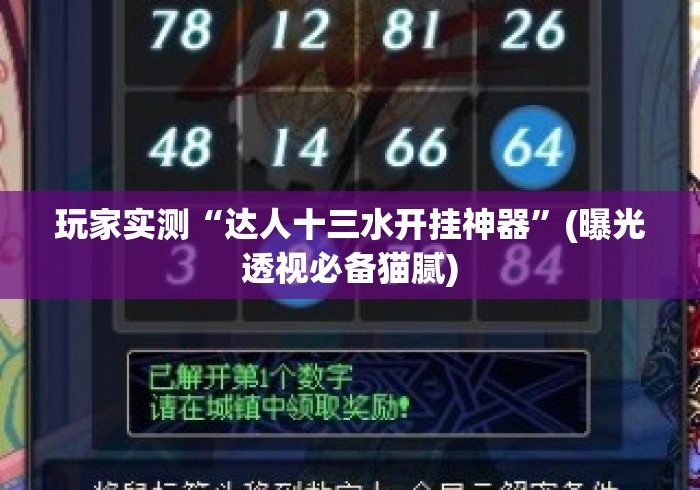 玩家实测“达人十三水开挂神器”(曝光透视必备猫腻)