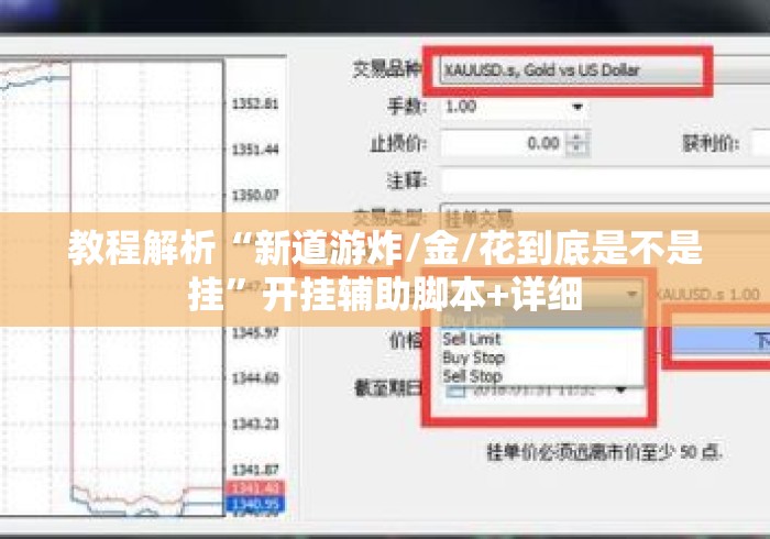 教程解析“新道游炸/金/花到底是不是挂”开挂辅助脚本+详细