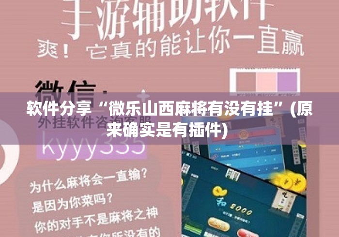 软件分享“微乐山西麻将有没有挂”(原来确实是有插件) 