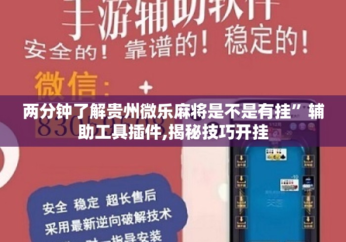 两分钟了解贵州微乐麻将是不是有挂”辅助工具插件,揭秘技巧开挂