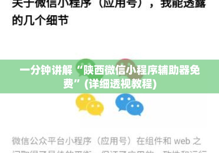 一分钟讲解“陕西微信小程序辅助器免费”(详细透视教程)