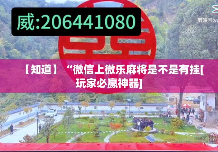 秒懂经验“陕西微乐麻将挂	”(确实真的有挂)