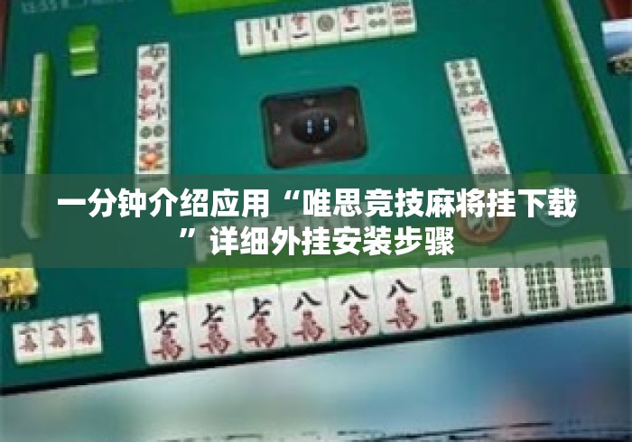 一分钟介绍应用“唯思竞技麻将挂下载”详细外挂安装步骤