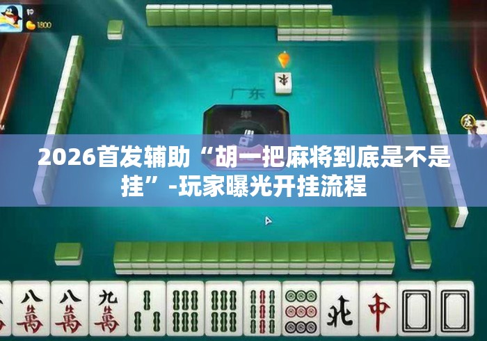 2026首发辅助“胡一把麻将到底是不是挂”-玩家曝光开挂流程