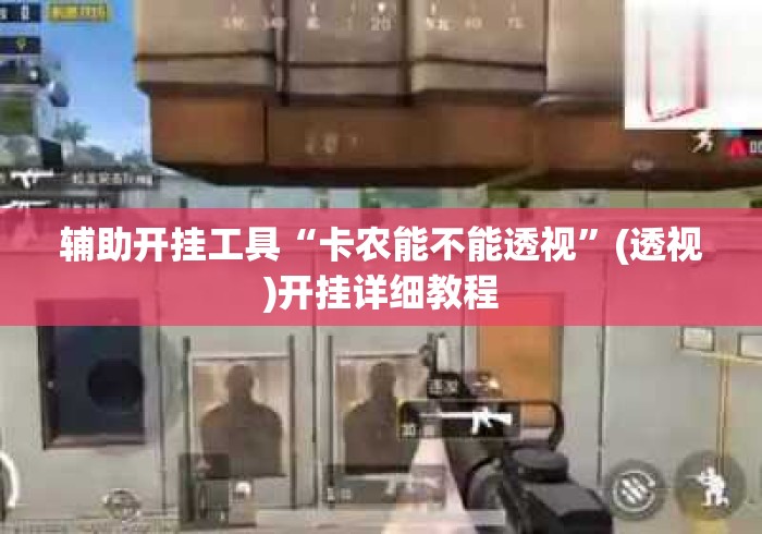 辅助开挂工具“卡农能不能透视”(透视)开挂详细教程