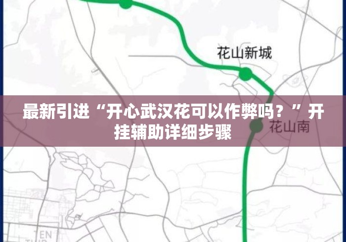 最新引进“开心武汉花可以作弊吗？”开挂辅助详细步骤