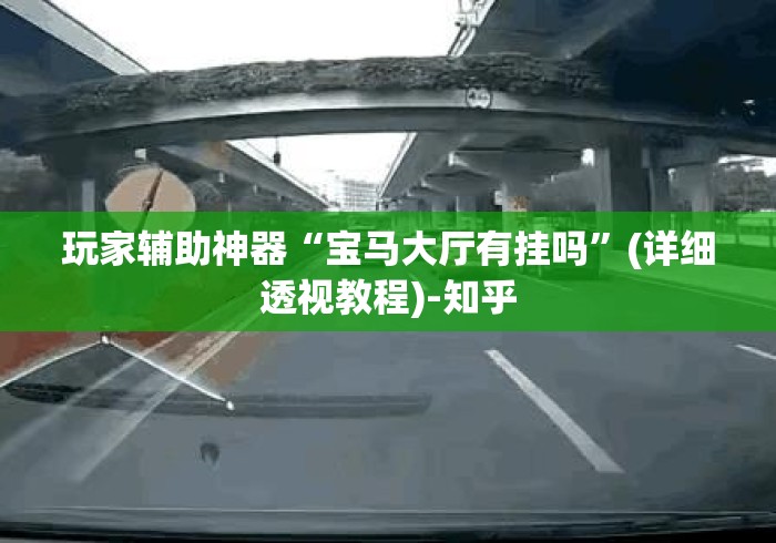 玩家辅助神器“宝马大厅有挂吗	”(详细透视教程)-知乎