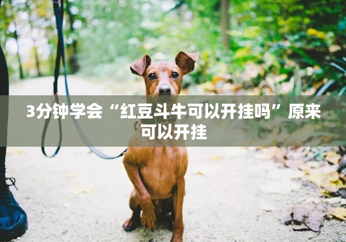 3分钟学会“红豆斗牛可以开挂吗	”原来可以开挂
