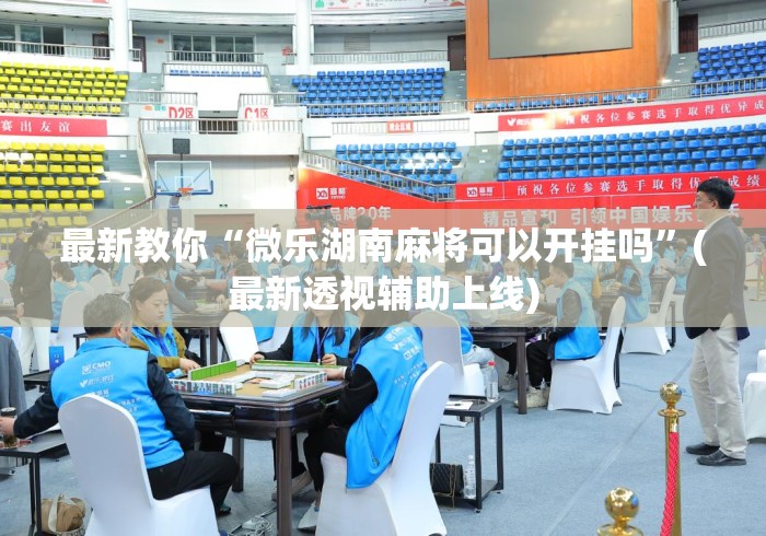 最新教你“微乐湖南麻将可以开挂吗”(最新透视辅助上线)