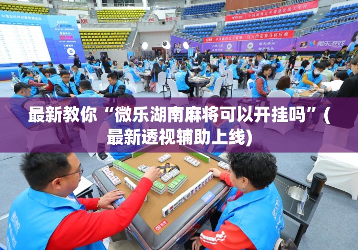 最新教你“微乐湖南麻将可以开挂吗	”(最新透视辅助上线)