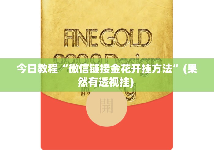 今日教程“微信链接金花开挂方法”(果然有透视挂) 
