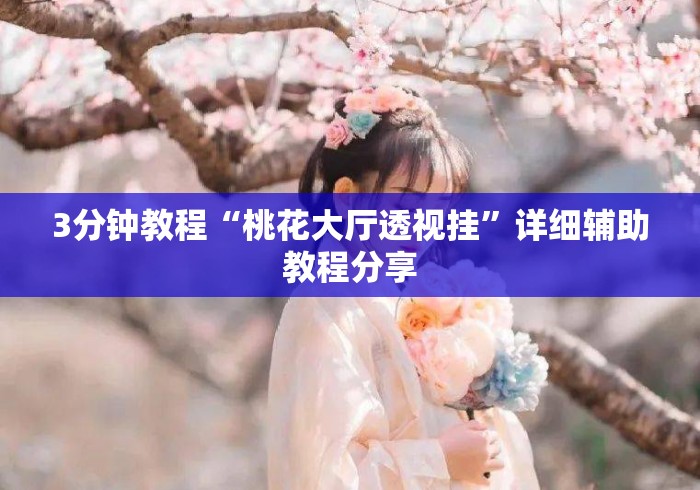 3分钟教程“桃花大厅透视挂”详细辅助教程分享