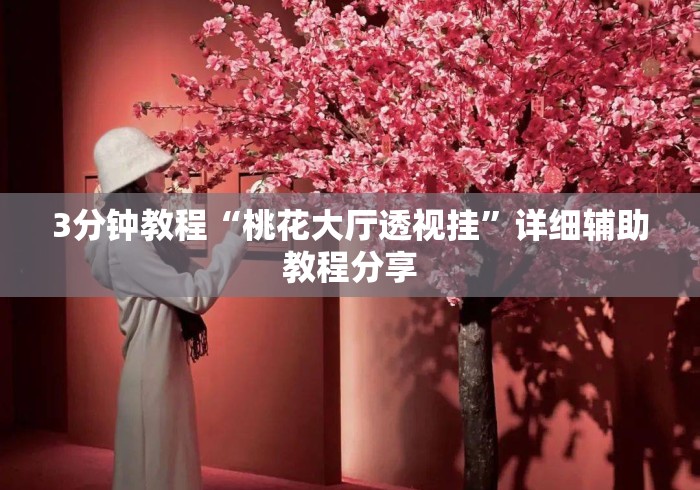 3分钟教程“桃花大厅透视挂	”详细辅助教程分享