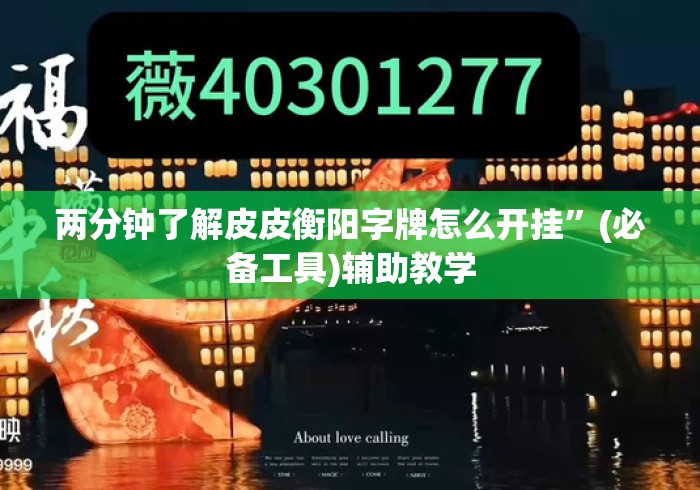 两分钟了解皮皮衡阳字牌怎么开挂”(必备工具)辅助教学
