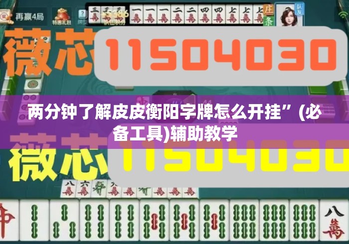 两分钟了解皮皮衡阳字牌怎么开挂	”(必备工具)辅助教学