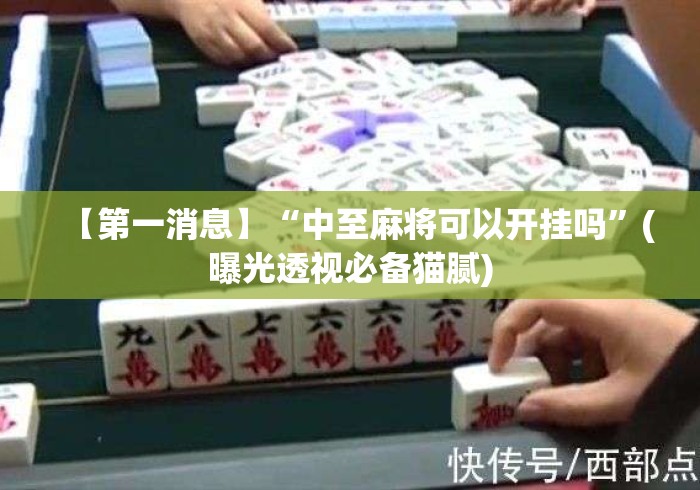 【第一消息】“中至麻将可以开挂吗”(曝光透视必备猫腻)