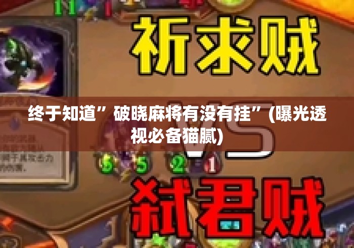 终于知道”破晓麻将有没有挂”(曝光透视必备猫腻)