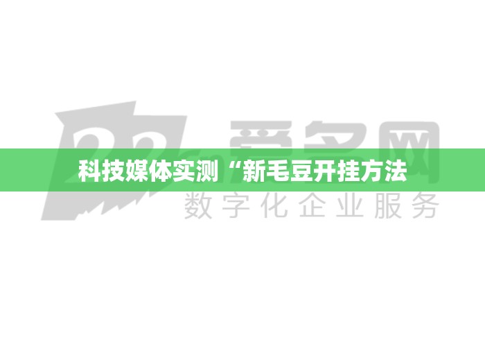 科技媒体实测“新毛豆开挂方法 科技媒体实测“新毛豆开挂方法