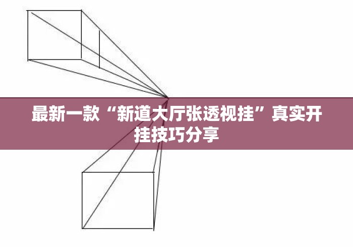 最新一款“新道大厅张透视挂	”真实开挂技巧分享