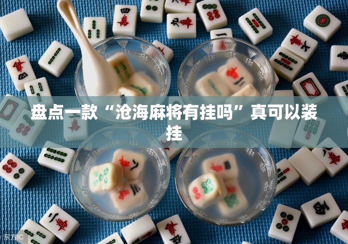 盘点一款“沧海麻将有挂吗”真可以装挂