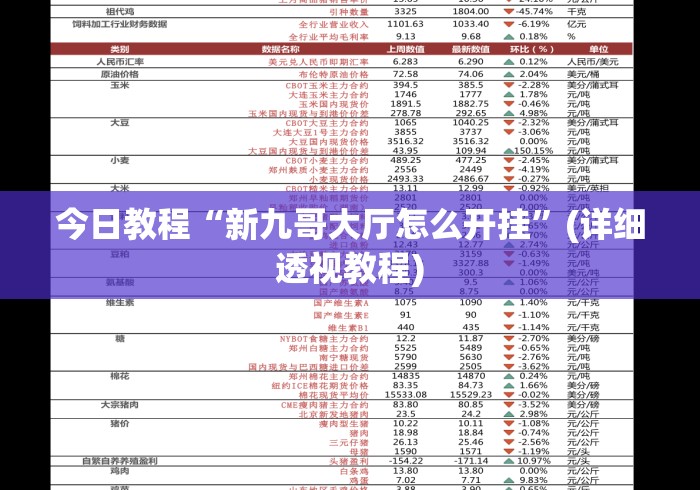 今日教程“新九哥大厅怎么开挂”(详细透视教程)
