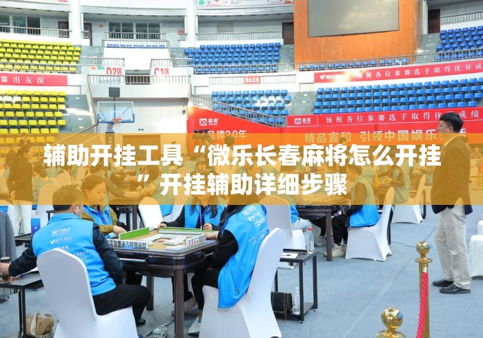 辅助开挂工具“微乐长春麻将怎么开挂”开挂辅助详细步骤