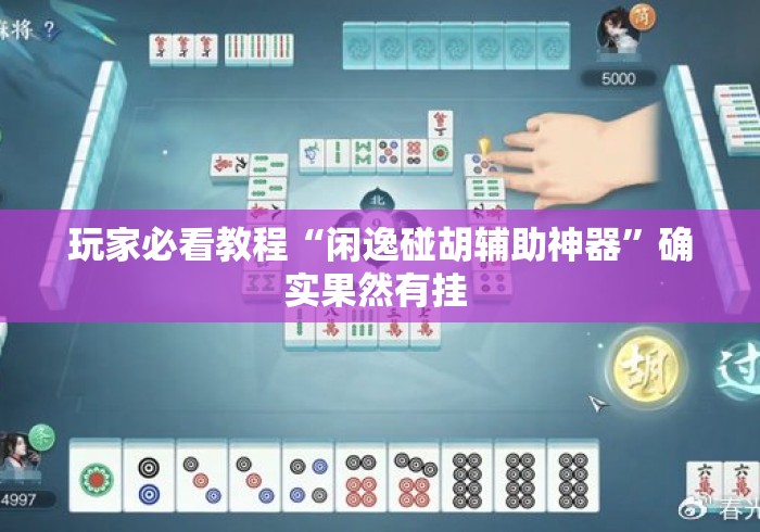 玩家必看教程“闲逸碰胡辅助神器	”确实果然有挂 