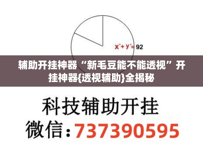 辅助开挂神器“新毛豆能不能透视”开挂神器{透视辅助}全揭秘