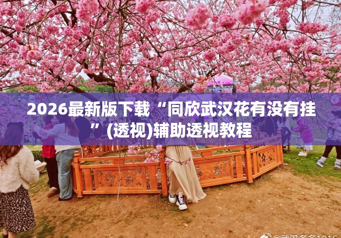 2026最新版下载“同欣武汉花有没有挂”(透视)辅助透视教程