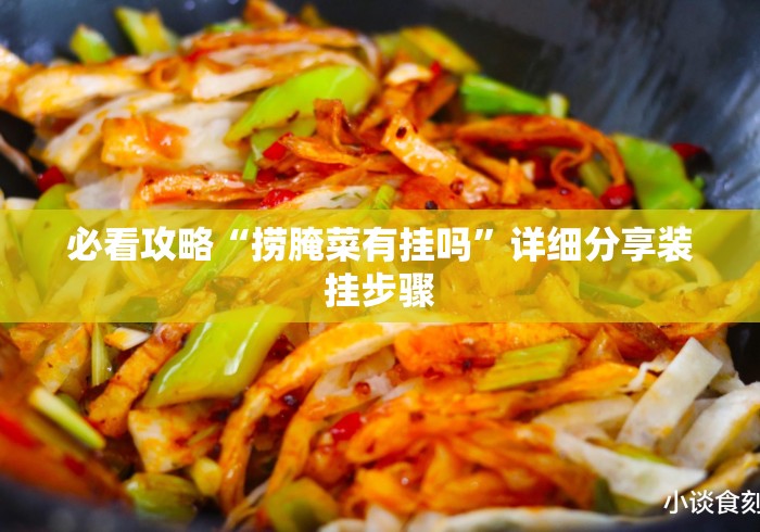 必看攻略“捞腌菜有挂吗”详细分享装挂步骤