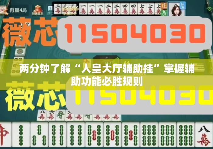 两分钟了解“人皇大厅辅助挂”掌握辅助功能必胜规则