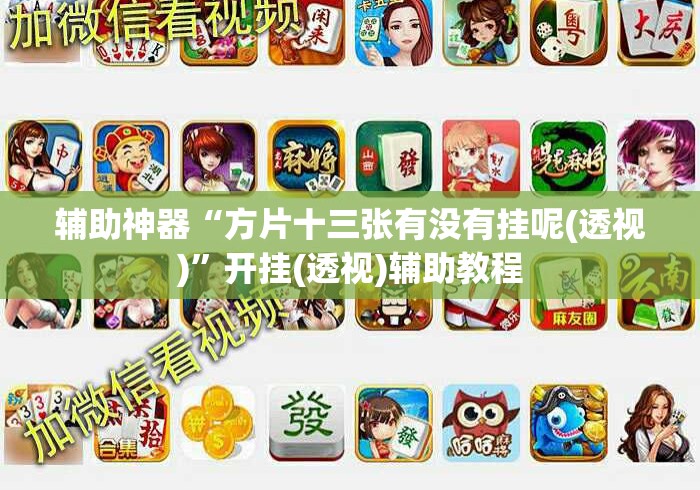 辅助神器“方片十三张有没有挂呢(透视)”开挂(透视)辅助教程