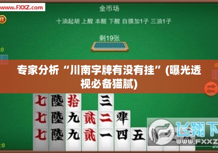 专家分析“川南字牌有没有挂	”(曝光透视必备猫腻)