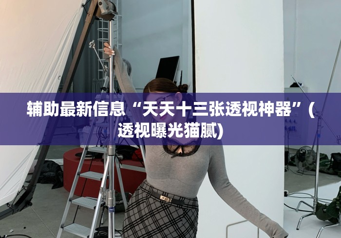 辅助最新信息“天天十三张透视神器”(透视曝光猫腻)