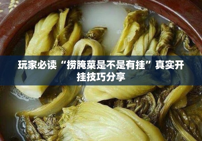 玩家必读“捞腌菜是不是有挂	”真实开挂技巧分享