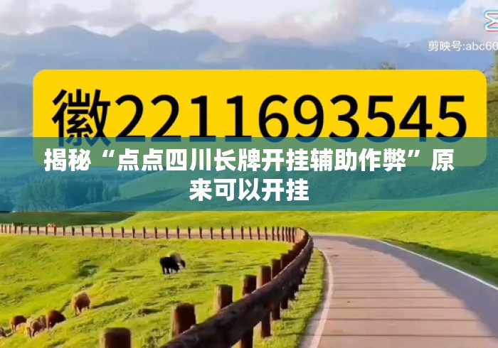 揭秘“点点四川长牌开挂辅助作弊”原来可以开挂