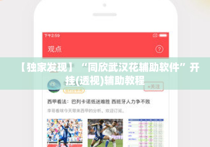【独家发现】“同欣武汉花辅助软件”开挂(透视)辅助教程