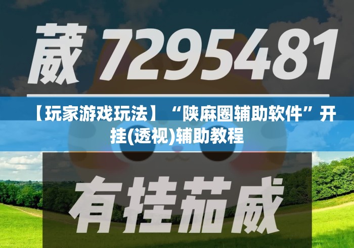 【玩家游戏玩法】“陕麻圈辅助软件”开挂(透视)辅助教程