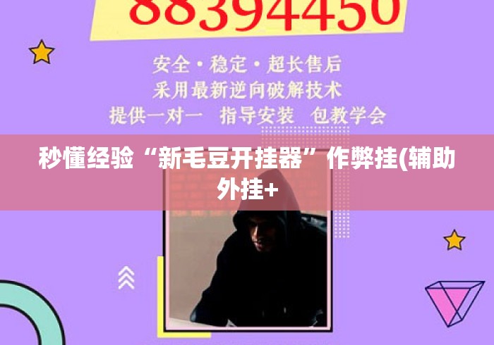 秒懂经验“新毛豆开挂器	”作弊挂(辅助外挂+