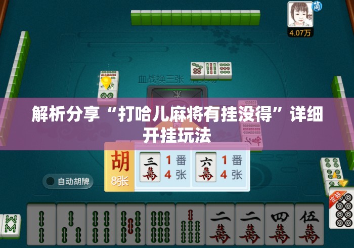 解析分享“打哈儿麻将有挂没得”详细开挂玩法
