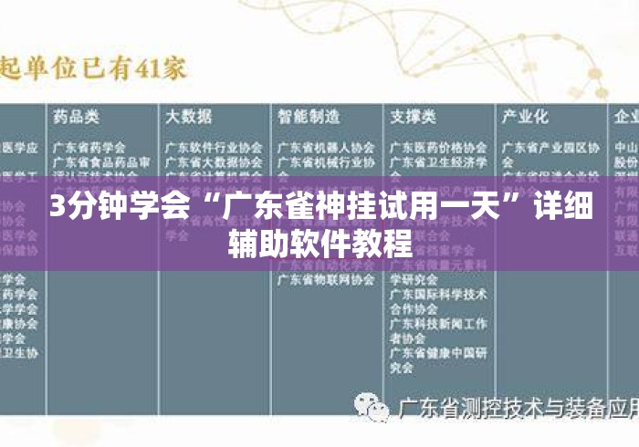 3分钟学会“广东雀神挂试用一天”详细辅助软件教程