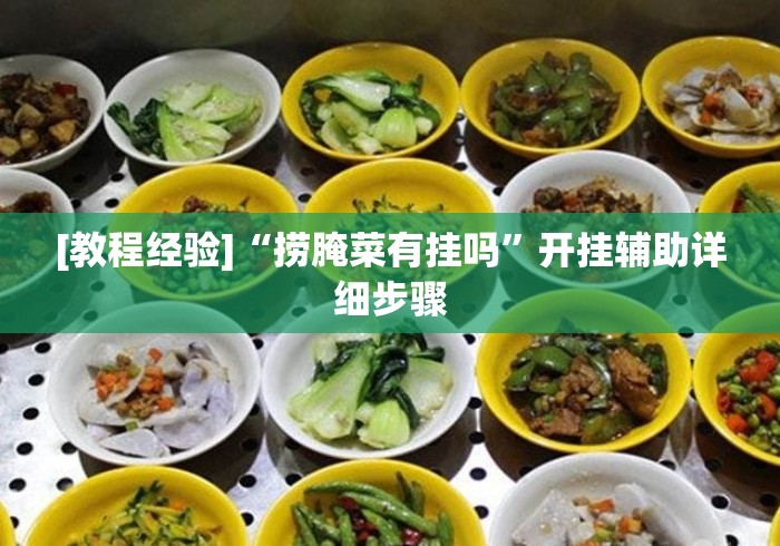 [教程经验]“捞腌菜有挂吗”开挂辅助详细步骤