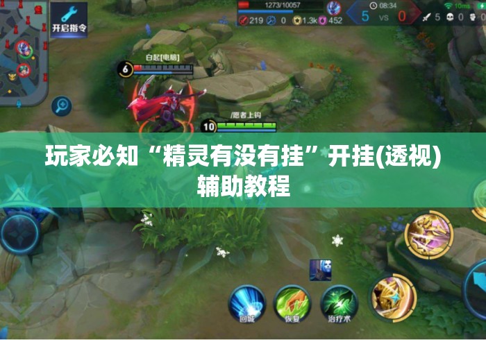 玩家必知“精灵有没有挂”开挂(透视)辅助教程