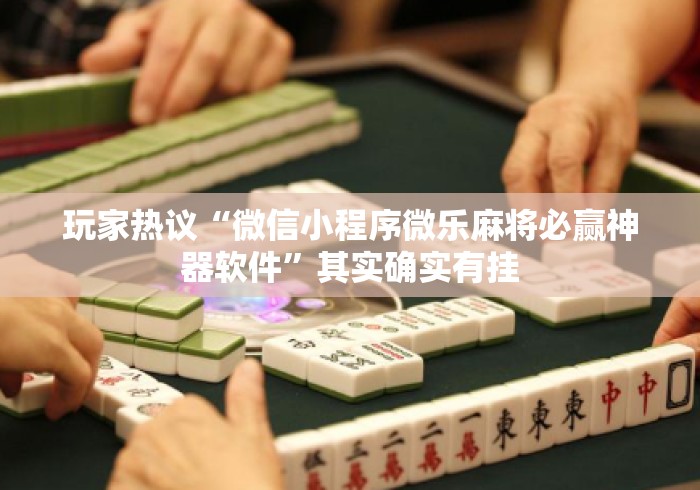 玩家热议“微信小程序微乐麻将必赢神器软件”其实确实有挂